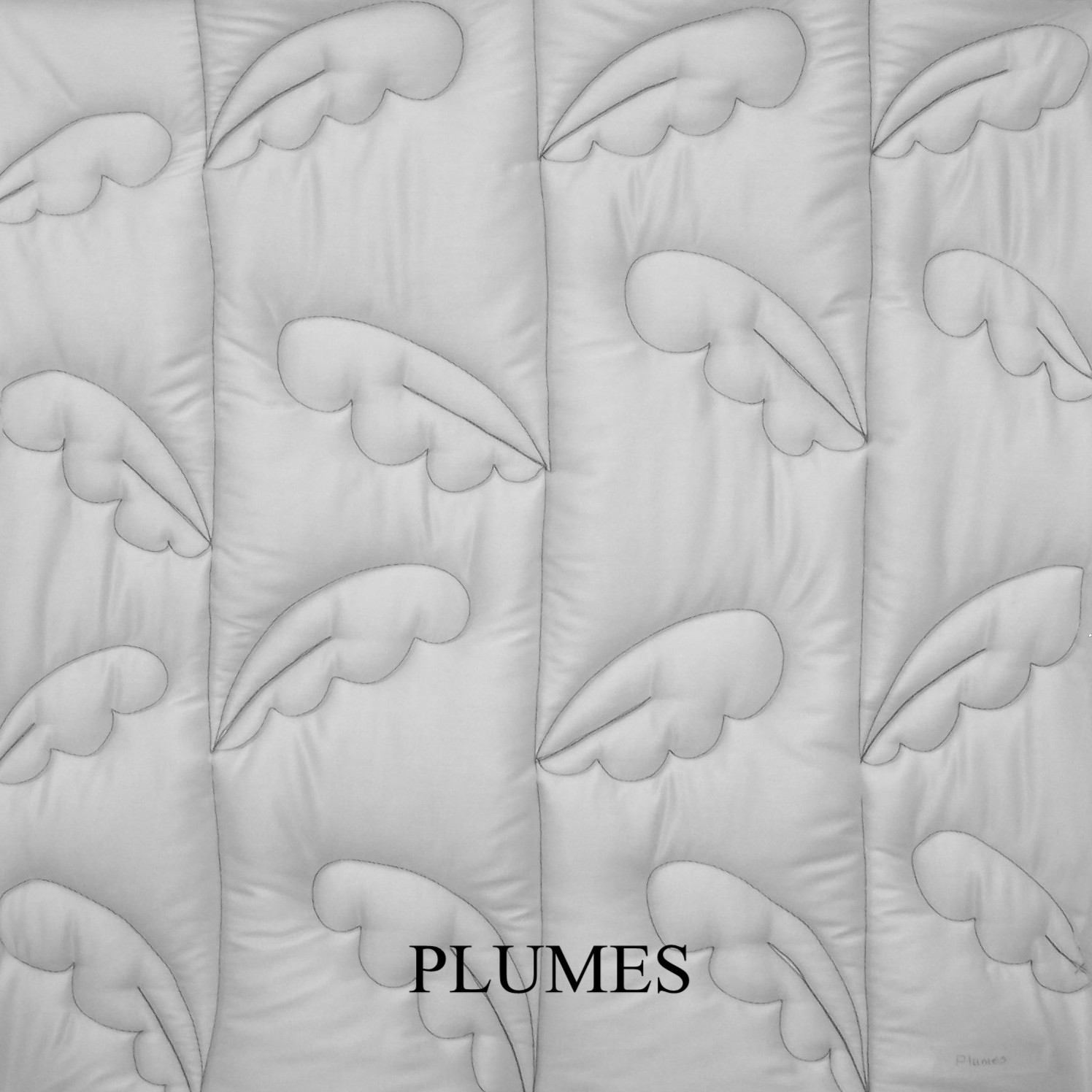 Plumes Quilting